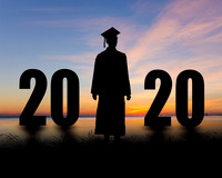 will sil.2020 only