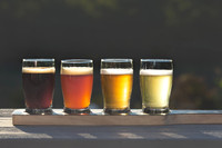 Hog Molly Brewing Co. -2