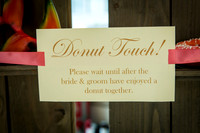 Lauren and Les Solomon-Trudi Smith Photography,LLC-3